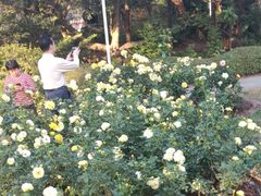 -人民公园(罗湖区)