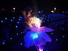 -武清南湖绿博园