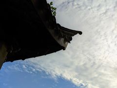 -南园(太仓市)