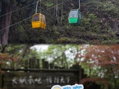 -恩施坪坝营国家森林公园景区