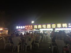 -盐禾堂海南屯昌香草鸭(总店)