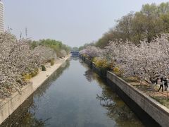-海棠花溪(元大都城垣遗址公园)