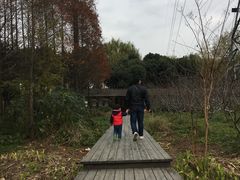 -昆山城市生态森林公园