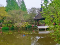 -上海醉白池公园