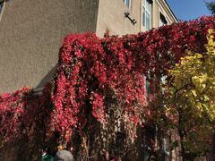 -辽宁大学(崇山校区)