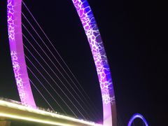 景点-南京眼步行桥