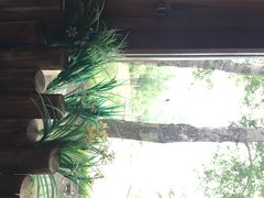 iphone_upload_pic-伏尔加庄园米尼阿久尔餐厅