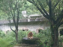 -福州动物园