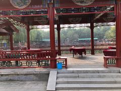 -尚庄度假村·庭台树下·户外烧烤·团建CS·轰趴营地(上庄水库店)