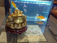 -苹果树下艺术餐厅(宋庄店)