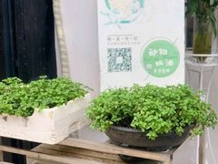 -你好独角兽·蛋糕甜品