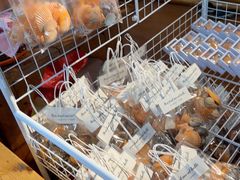 -蓝湾碧波·老字号·疍家非遗海上餐厅