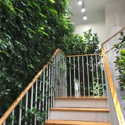 点击看大图 -悦诗风吟innisfree