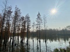 -白鹭湾湿地公园