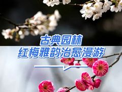 -秋霞圃