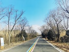 -同里国家湿地公园