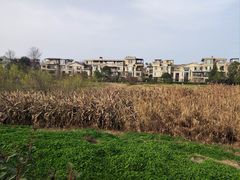 -两河城市森林公园