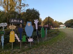 -金鸡湖桃花岛