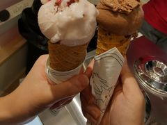 -莉莉熊Lililove Gelato (意大利手工冰淇淋)