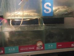 -鱼酷活鱼烤鱼(沈阳大悦城店)