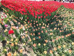 -长春公园(普阳街道)