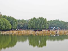 -大兴滨河森林公园