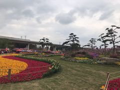 -秀丽东方