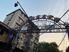 -溪岸路花鸟市场