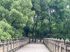 -南山植物园