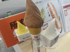 -野人先生现做冰淇淋(西安赛格店)