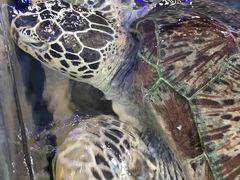 -鸿通城购物中心