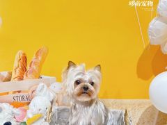 -听雨小筑茶舍(观音桥·龙湖新壹街店)