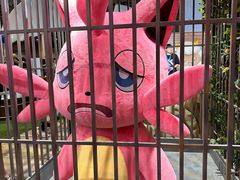 -国家会展中心