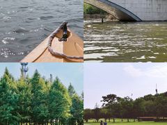 -顾村公园