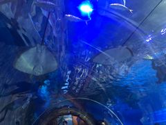 -华夏文旅西安度假区