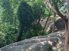 -灵岩山风景区