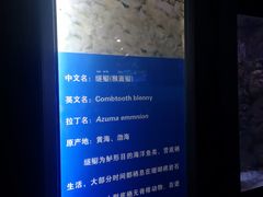 -厦门海底世界