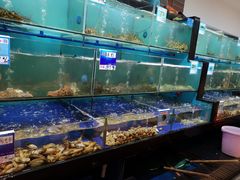 水产区-南海渔家•海鲜•正宗海南菜(海棠湾店)