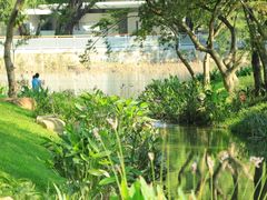 -人民公园(罗湖区)