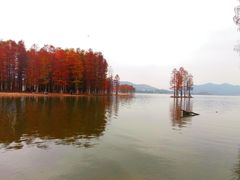 -四明湖
