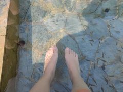 -崇阳三特浪口温泉
