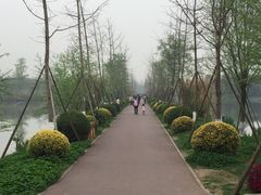 -白鹭湾湿地公园