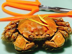 -蟹榭·本帮江浙菜·蟹宴(五角场合生汇商场店)