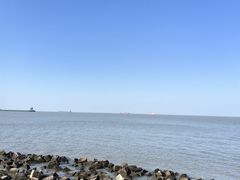 -上海滨江森林公园
