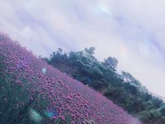 -綦江古剑山