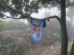 -羚羊峡古栈道森林公园