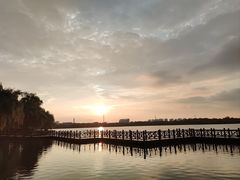 -九里湖国家湿地公园