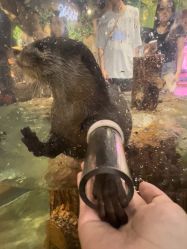 -Zoolung Zoolung动物主题公园(海信广场店)