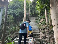 -小南山公园