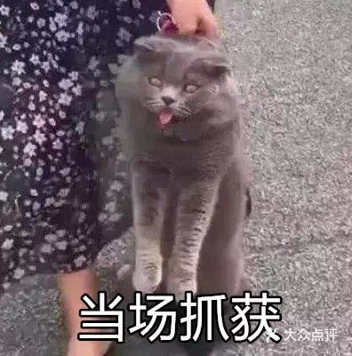 这条路禁止非机动车行驶